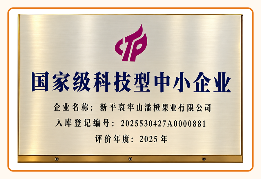 国家级科技型中小企业荣誉图片
