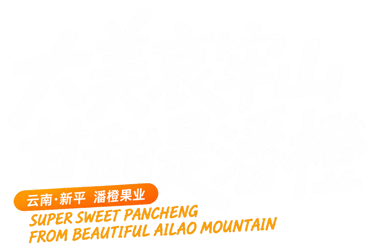 哀牢潘橙品牌主视觉