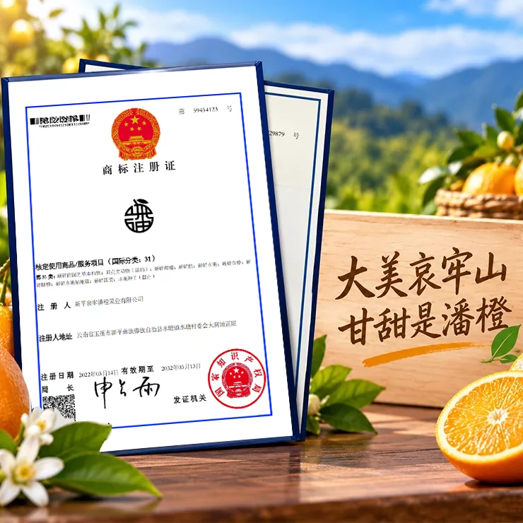 哀牢潘橙注册商标